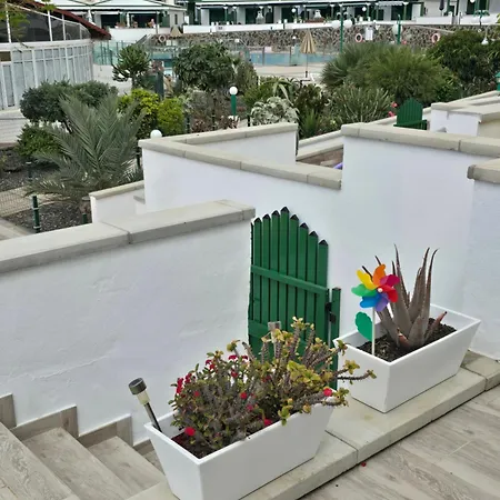 The Sunflower * Maspalomas (Gran Canaria)